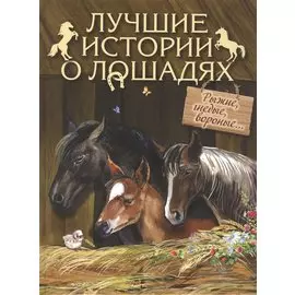 Лучшие истории о лошадях. Рыжие, гнедые, вороные