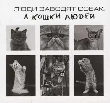 Люди заводят собак,а кошки людей