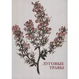 Луговые травы