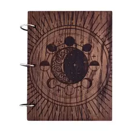 Лунный дневник