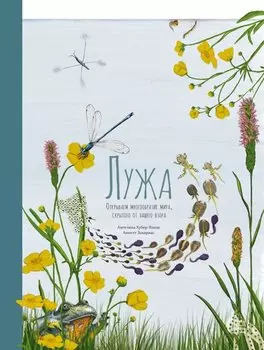 Лужа. Открываем многообразие мира, скрытого от нашего взора