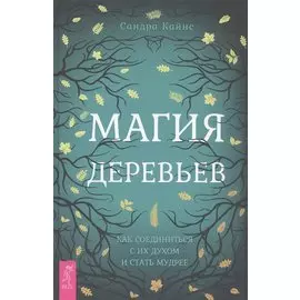 Магия деревьев: как соединиться с их духом и стать мудрее