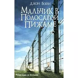 Мальчик в полосатой пижаме. Роман