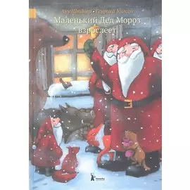 Маленький Дед Мороз взрослеет