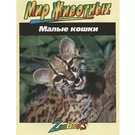 Малые кошки