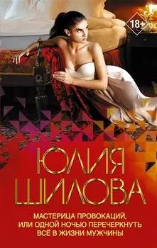 Мастерица провокаций, или Одной ночью перечеркнуть все в жизни мужчины