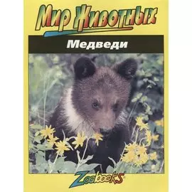 Медведи