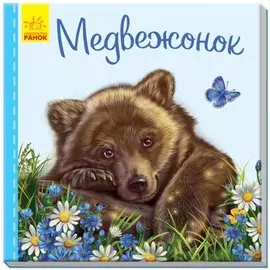 Медвежонок