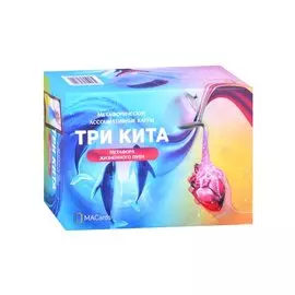 Метафорические ассоциативные карты “Три кита”. Метафора жизненного пути