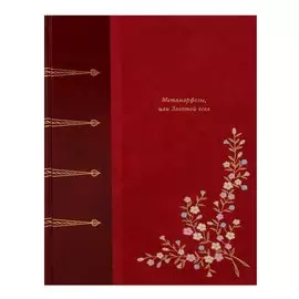 Матаморфозы, или Золотой осел