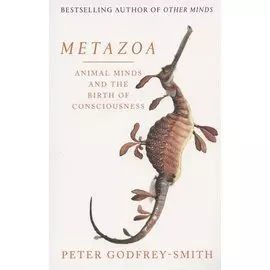 Metazoa