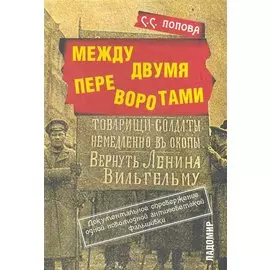 Между двумя переворотами. Документальные свидетельства о событиях лета 1917 года в Петрограде (по французским и российским архивным источникам).