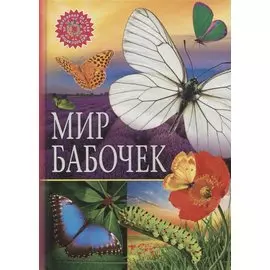 Мир бабочек