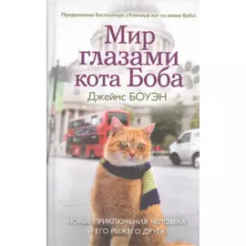 Мир глазами кота Боба. Новые приключения человека и его рыжего друга