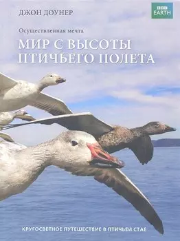 Мир с высоты птичьего полета