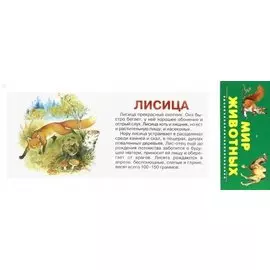 Мир Животных. Карточки