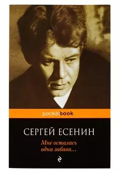 Мне осталась одна забава...