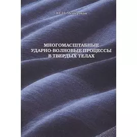 Многомасштабные ударно-волновые процессы в твердых телах