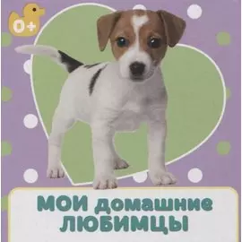 Мои домашние любимцы