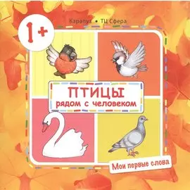 Птицы рядом с человеком (для детей от 1-3 лет)