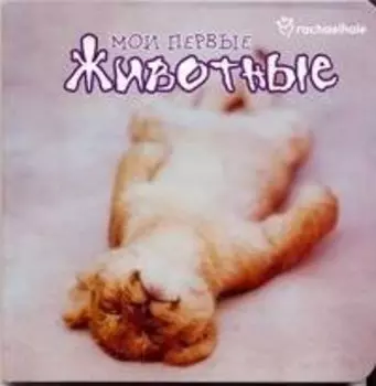 Мои первые животные