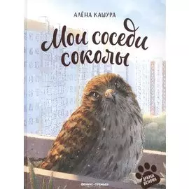 Мои соседи соколы