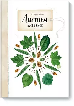 Мой гербарий. Листья деревьев