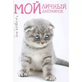 Сидячий грустный вислоух Дневничок