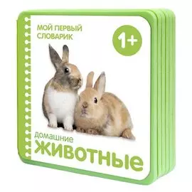 Домашние животные