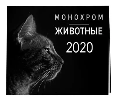 Монохром. Животные. Календарь настенный на 2020 год (300х300 мм)