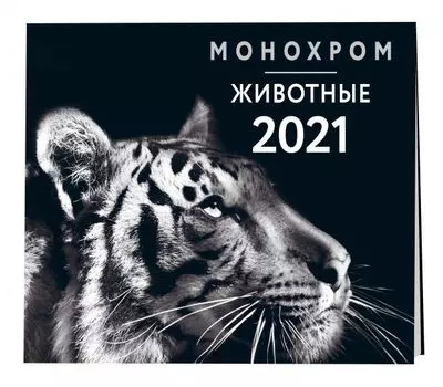 Календарь настенный «Монохром. Животные»