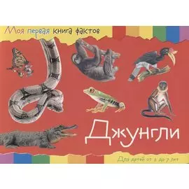 Джунгли. Для детей от 2 до 7 лет