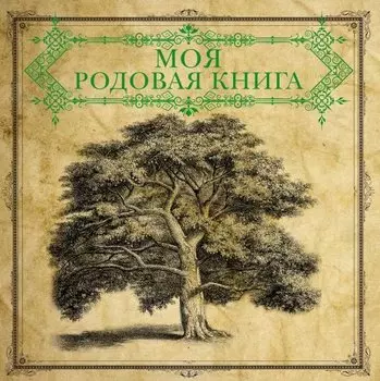 Моя родовая книга = История нашего рода