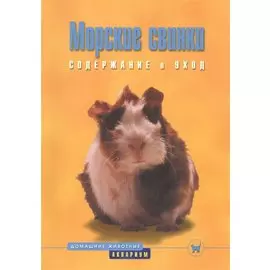 Морские свинки. Содержание и уход