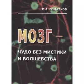 Мозг – чудо без мистики и волшебства