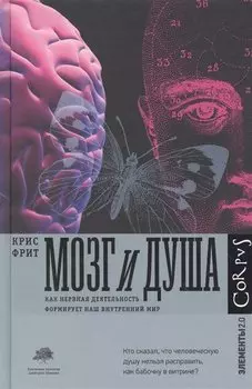 Мозг и душа