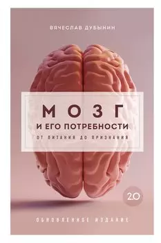 Мозг и его потребности 2.0. От питания до признания