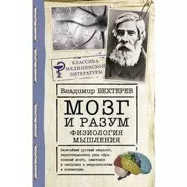 Мозг и разум: физиология мышления