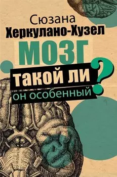 Мозг. Такой ли он особенный?