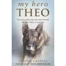 My Hero Theo