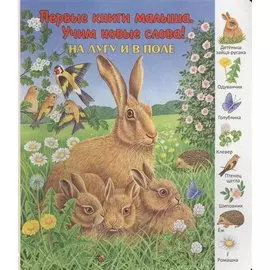 На лугу и в поле