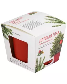 Набор д/выращивания растений Магия Цветов, Датская ёлка (пихта Нордмана) (mf-009)