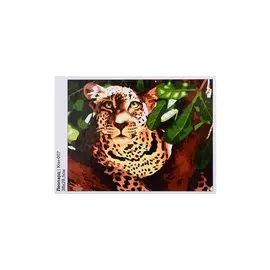 Набор для творчества LORI Картина по номерам Леопард