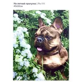 Набор для творчества LORI. Картина по номерам "На летней прогулке", 50 х 40 см