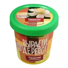 Набор для выращивания Гардения