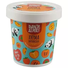 Набор для выращивания «Хурма виргинская»