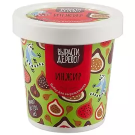 Набор для выращивания «Инжир»