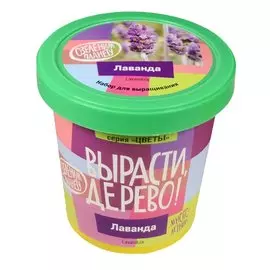 Набор для выращивания "Лаванда"