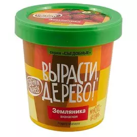 Набор для выращивания «Вырасти, дерево! Земляника ананасная»