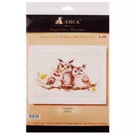 Набор для вышивания Алиса Совушки 22х13см